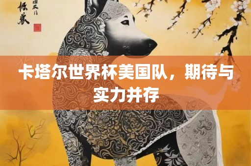 卡塔尔世界杯美国队，期待与实力并存
