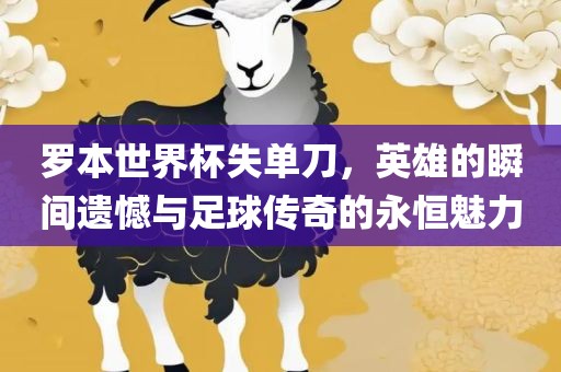 罗本世界杯失单刀，英雄的瞬间遗憾与足球传奇的永恒魅力金炬实业股份有限公司