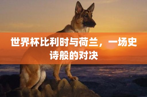 世界杯比利时与荷兰，一场史诗般的对决