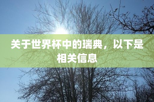 关于世界杯中的瑞典，以下是相关信息金炬实业股份有限公司
