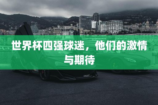 世界杯四强球迷，他们的激情与期待
