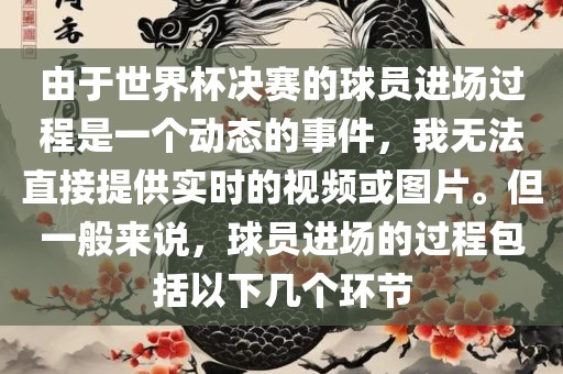 由于世界杯决赛的球员进场过程是一个动态的事件，我无法直接提供实时的视频或图片。但一般来说，球员进场的过程包括以下几个环节金炬实业股份有限公司