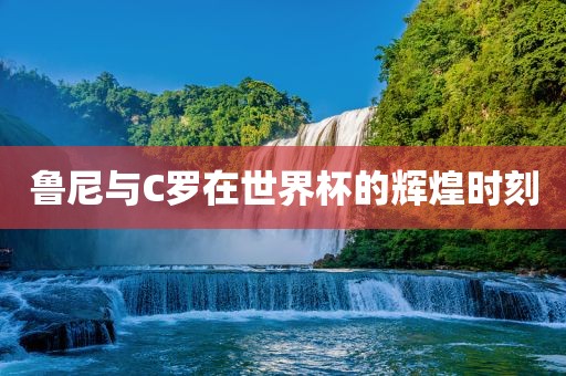 鲁尼与C罗在世界杯的辉金炬实业股份有限公司煌时刻