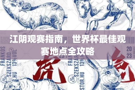江阴观赛指南，世界杯最佳观赛地点全攻略金炬实业股份有限公司
