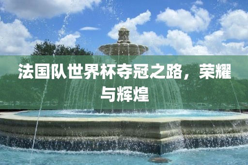 法国队世界杯夺冠之路，荣耀与辉煌金炬实业股份有限公司