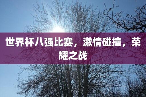 世界杯八强比赛，激情碰撞，荣耀之战