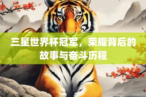 三星世界杯冠军，荣耀背后的故事与奋斗历程金炬实业股份有限公司