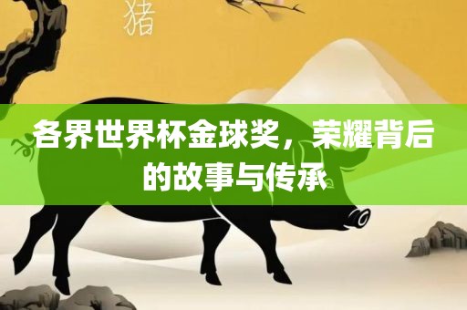 各界世界杯金球奖，荣耀背后的故事与传承