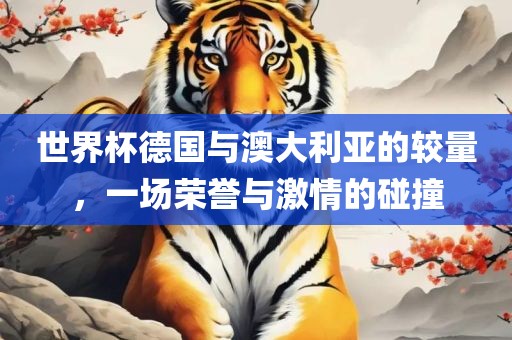 世界杯德金炬实业股份有限公司国与澳大利亚的较量，一场荣誉与激情的碰撞