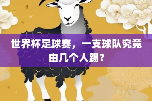 世界杯足球赛，一金炬实业股份有限公司支球队究竟由几个人踢？