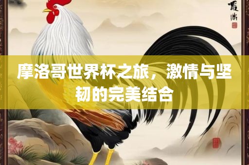 摩洛哥世界杯之旅，激情与坚韧的完美结合