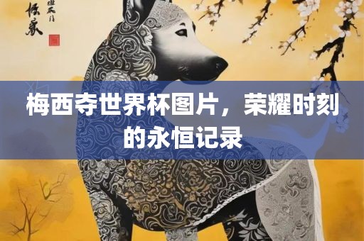 梅西夺世界杯图片，荣耀时刻的永恒记录