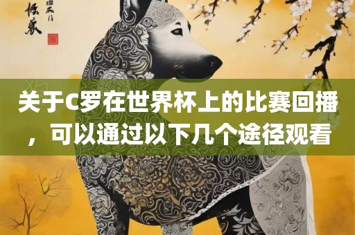 观看途径
