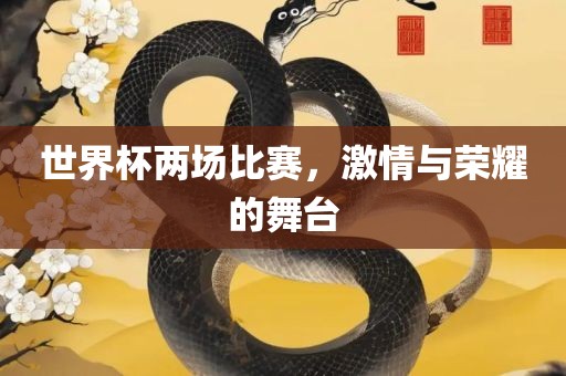 世界杯两场比赛，激情与荣耀的舞台金炬实业股份有限公司