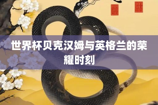 世界杯贝克汉姆与英格兰的荣耀时刻