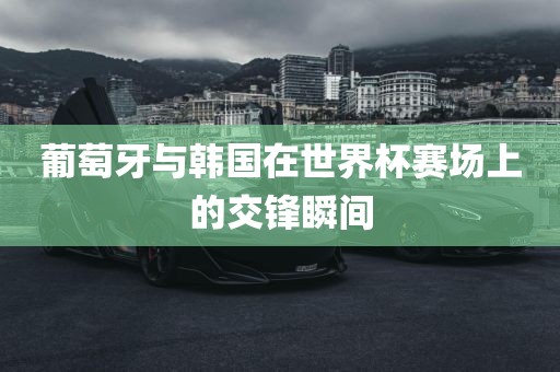 葡萄牙与韩国在金炬实业股份有限公司世界杯赛场上的交锋瞬间