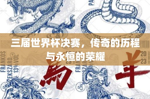 三届世界杯决赛，传奇的历程与永恒的荣耀金炬实业股份有限公司
