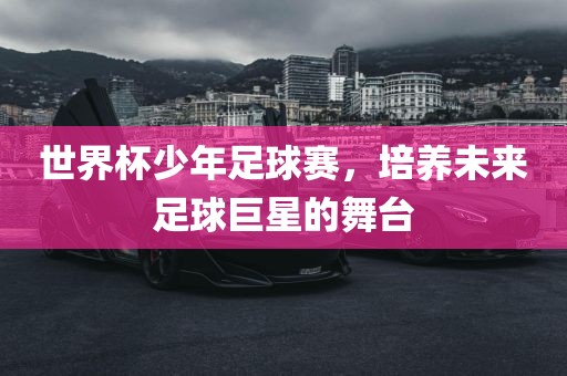 世界杯少年足球赛，培养未来足球巨星的舞台金炬实业股份有限公司