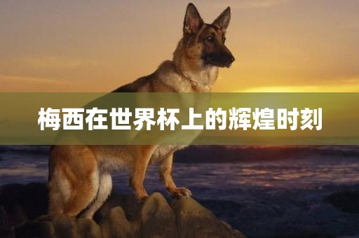 梅西在世界杯上的辉煌时刻金炬实业股份有限公司