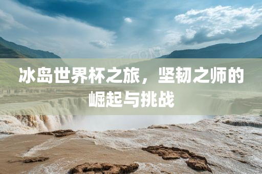 冰岛世界杯之旅，坚韧之师的崛起与挑战