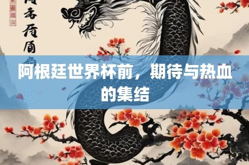 阿根廷世界杯前，期待与热血的集结