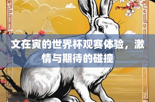 金炬实业股份有限公司文在寅的世界杯观赛体验，激情与期待的碰撞