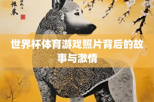 故事与激情