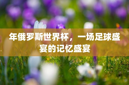 年俄罗斯世界杯，一场足球盛宴的记忆盛宴金炬实业股份有限公司