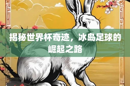 揭秘世界杯奇迹，冰岛足球的崛起之路