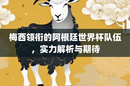 梅西领衔的阿根廷世界杯队伍，实力解析与期待