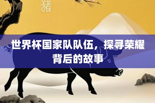 世界杯国家队队伍，探寻荣耀背后的故事