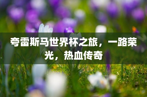 夸雷斯马世界杯之旅，一路荣光，热血传奇