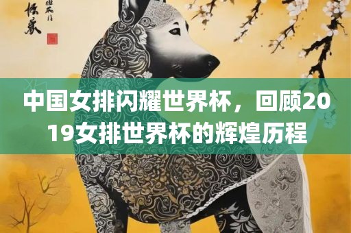 中国女排闪耀世界杯，回顾2019女排世界杯的辉煌历程