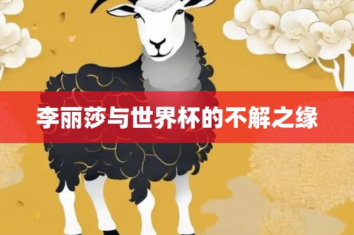 李丽莎与世界杯的不解之缘金炬实业股份有限公司