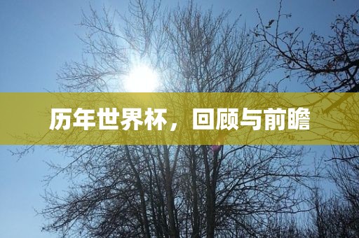 历年世界杯金炬实业股份有限公司，回顾与前瞻