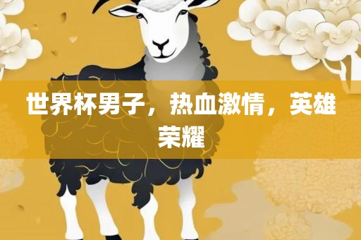 世界杯男子，热血激情，英雄荣耀