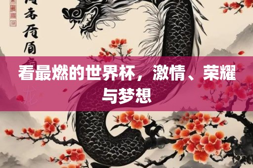 看最燃的世界杯，激情、荣耀与梦想金炬实业股份有限公司