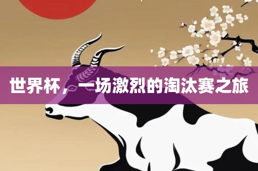 世界杯，一场金炬实业股份有限公司激烈的淘汰赛之旅