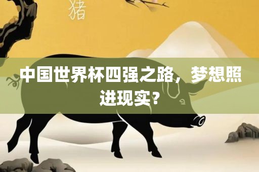 中国世界杯四强之路，梦想照进现实？