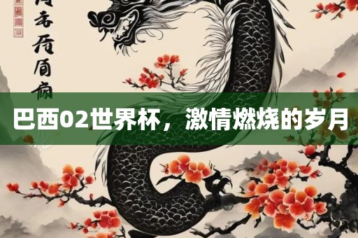 巴西02世界杯，激情燃烧的岁月