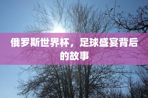 俄罗斯世界杯，足球盛宴背后的故事