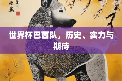 世界杯巴西队，历史、实力与期待