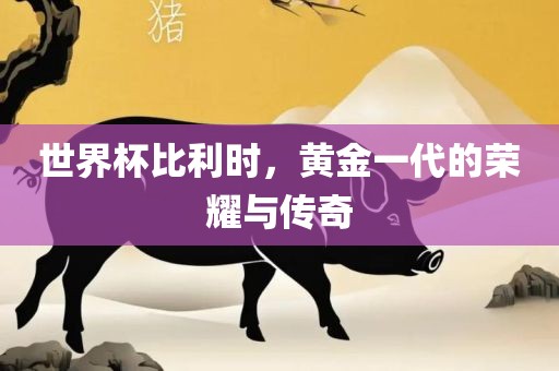 世界杯比利时，黄金一代的荣耀与传奇