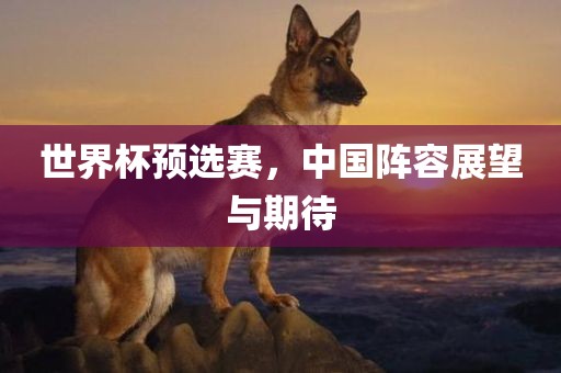 世界杯预选赛，中国阵容展望与期待金炬实业股份有限公司