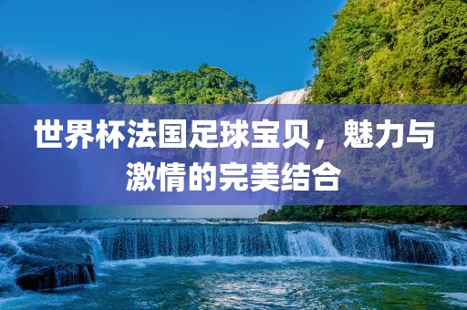 世界杯法国足球宝贝，魅力与激情的完美结合金炬实业股份有限公司