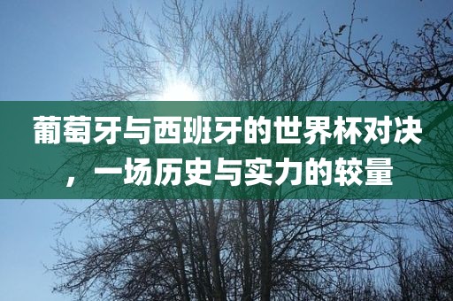 葡萄牙与西班牙的世界杯对决，一场历史与实力的较量