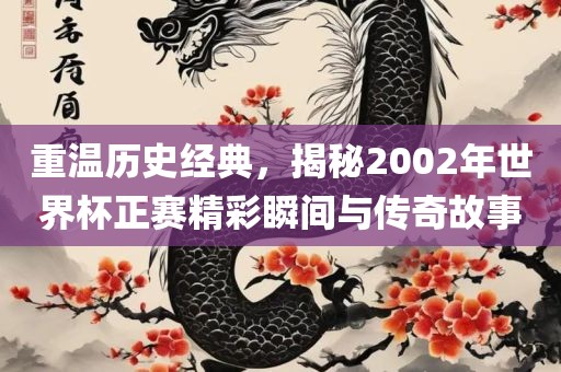 重温历史经典，揭秘2002年世界杯正赛精彩瞬间与传奇故事