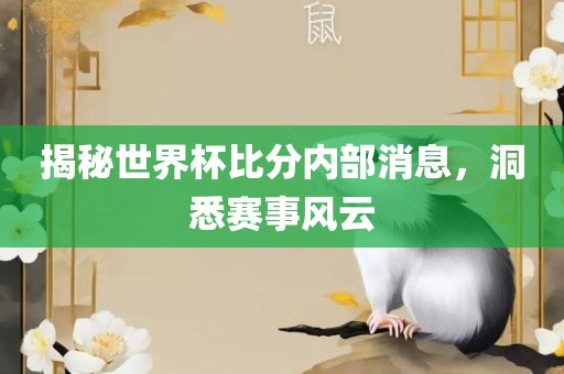 揭秘世界杯比分内部消息，洞悉赛事风云