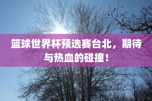篮球世界杯预选赛台北，期待与热血的碰撞！