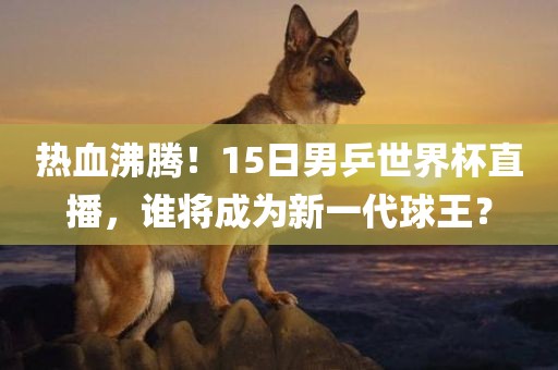 热血沸腾！15日男乒世界杯直播，谁将成为新一代球王？